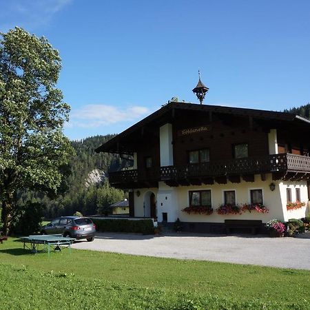 Gastehaus Soldanella Hotel Ramsau am Dachstein Luaran gambar